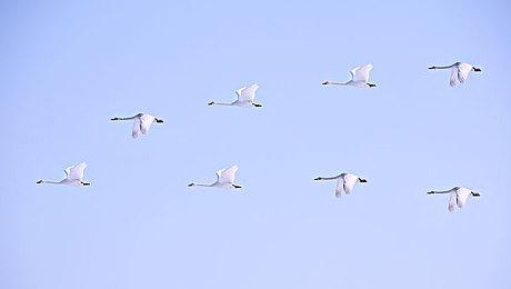 《俄罗斯方块永恒篇》Steam页面开放 2024年发售